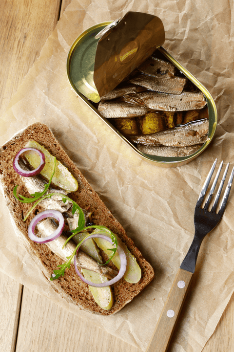 拉脱維亞｜油漬沙丁魚＆煙燻油漬沙丁魚