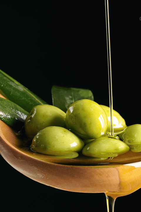希臘｜第一道冷壓初榨橄欖油